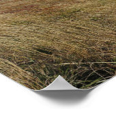 ビエッツチェディのパノラマ ポスター (角)