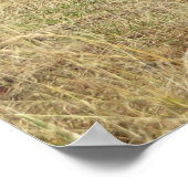 ビエッツチェディ秋 ポスター (角)