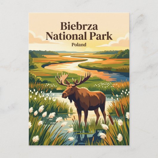 ビエブジャ国立公園 ポーランド ポストカード (正面)