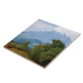 ビエルシュタット山ピラタス タイル (側面)