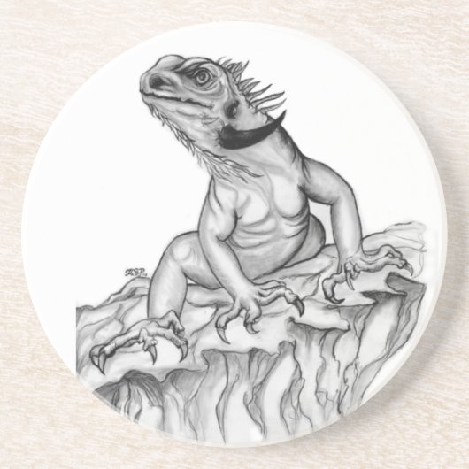 ビエルデッケルドラーシュ コースター (正面)