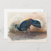 ビエロの火に覆われたキジ ポストカード (正面/裏面)