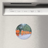 ビエンチャン マグネット (インサイチュ (食洗機))