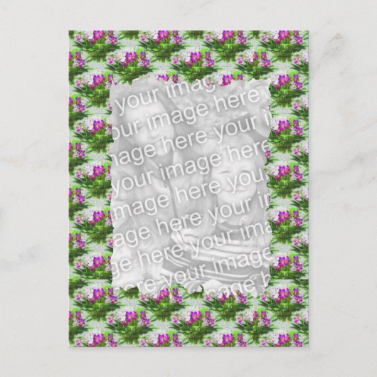 ビオかわいらしレットフローラ写真はがき ポストカード (正面)