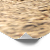 ビオコボ山脈 – クロアチア ポスター (角)