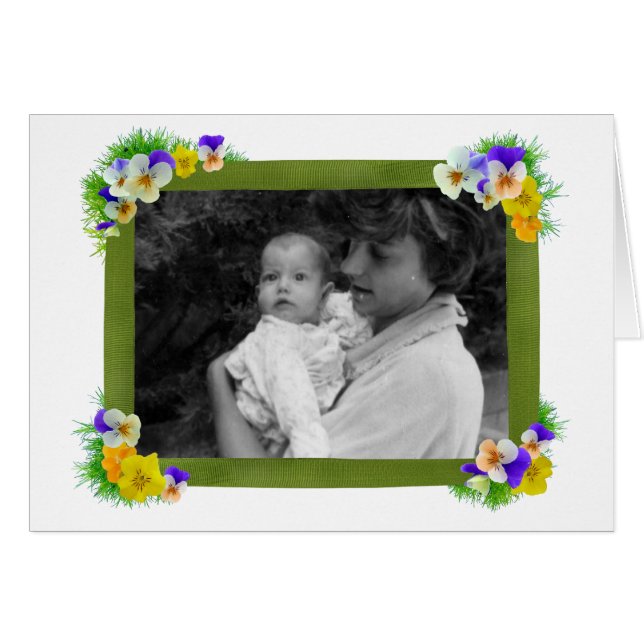 ビオラの写真カード (正面横)