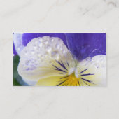 ビオラの名刺 名刺 (裏面)