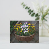 ビオラ付きバスケット ポストカード (スタンド正面)