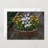 ビオラ付きバスケット ポストカード (正面/裏面)