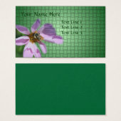 ビオンピンクコスモス花自然 (正面&裏面)