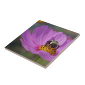 ビオンピンクコスモス花自然 タイル (側面)