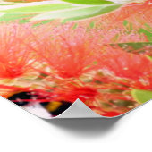 ビオンボトルブラシ ポスター (角)