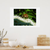 ビオーグ ポスター (キッチン)