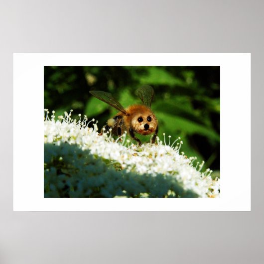 ビオーグ ポスター (正面)