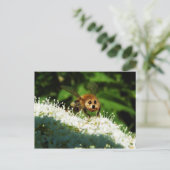 ビオーグ ポストカード (スタンド正面)