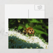 ビオーグ ポストカード (正面/裏面)