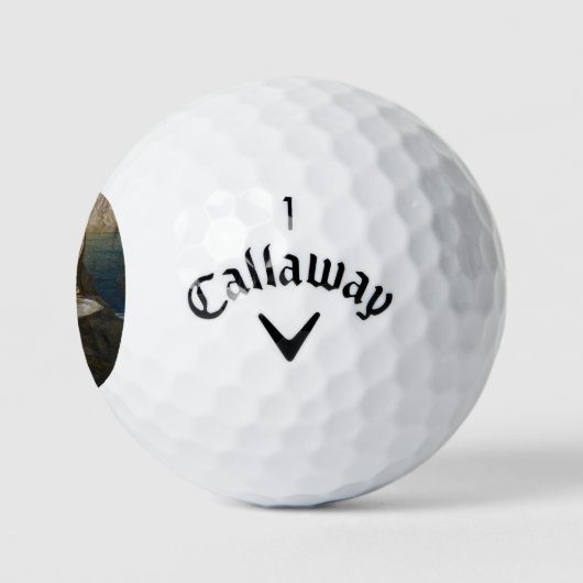 ビキニ・ニンフによって貝殻で見つかった水ベビー ゴルフボール (ロゴ)