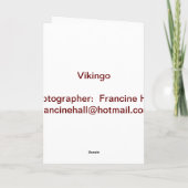 ビキンゴアンダルシアのスタリオンのグリーティングカー空白のド カード (裏面)