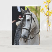 ビキンゴアンダルシアのスタリオンのグリーティングカー空白のド カード (黄色い花)