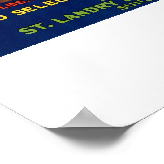 ビクトリアスブランドルイジアナのサツマイモ ポスター (角)