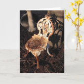 ビクトリアンなガーデン・チェア カード (黄色い花)