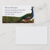 ビクトリアンな孔雀の名刺のテンプレート 名刺 (正面/裏面)