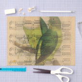 ビクトリアンな音楽シートの水彩画の鳥の壁紙 薄葉紙 (クラフト)