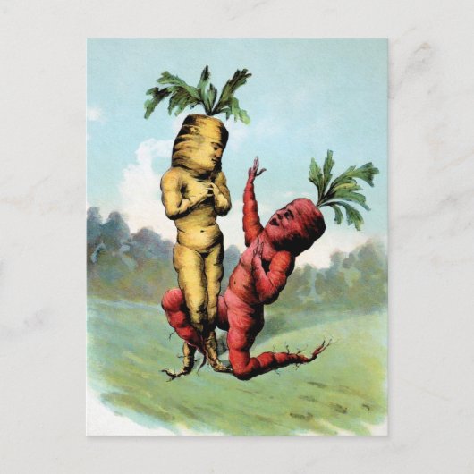 ビクトリアンにんじん提案はがき ポストカード (正面)