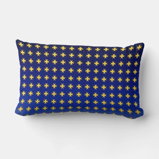 ビクトリアンの金星とおもちゃのサンタ ランバークッション (裏面)