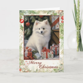 ビクトリアンアメリカンエスキモーパピー クリスマス