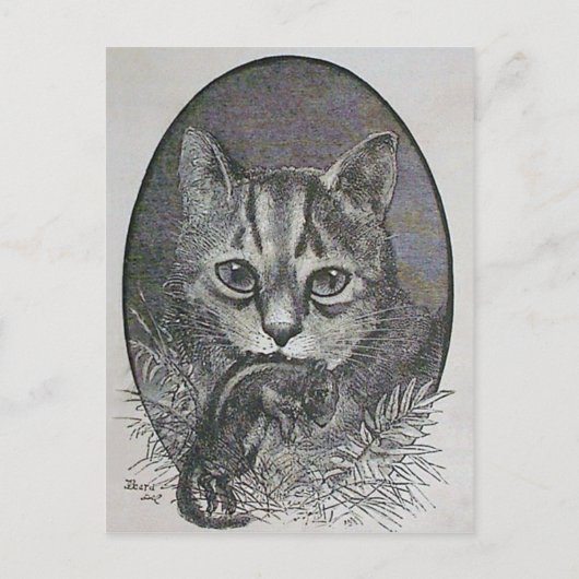 ビクトリアンクリスマス葉書つき猫 シーズンポストカード (正面)