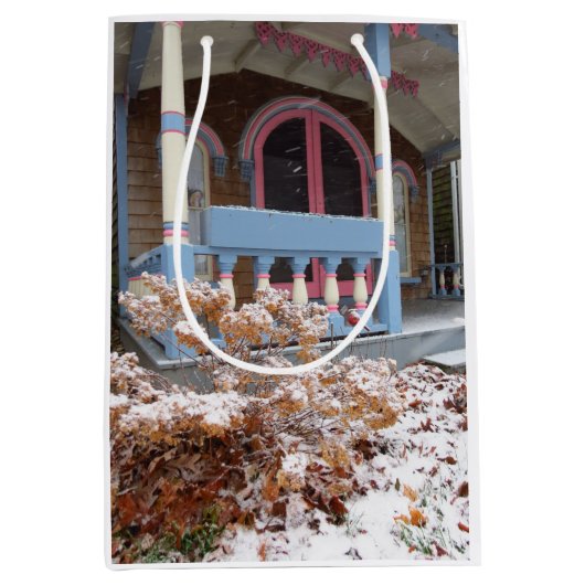 ビクトリアンコテージイン雪 – マーサのブドウ畑 ミディアムペーパーバッグ (正面)