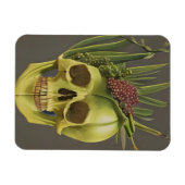 ビクトリアンスカル、アロエ、ブドウ マグネット (横)