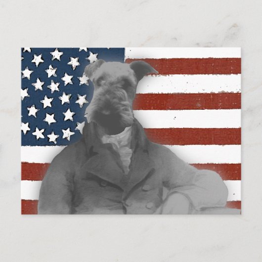 ビクトリアンスタイルAiredaleギフト ポストカード (正面)