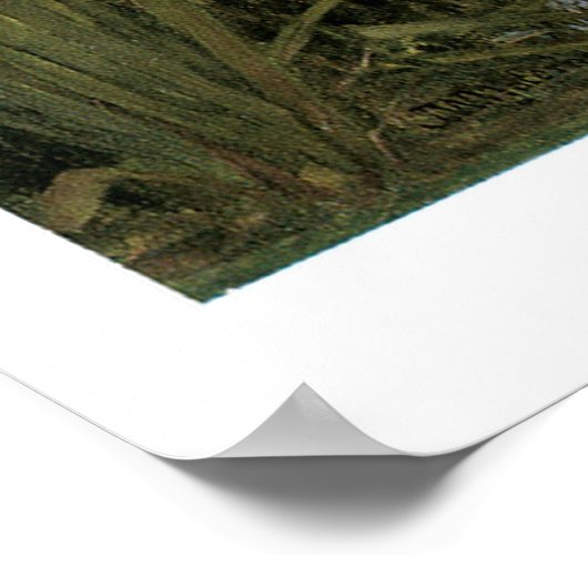 ビクトリアンファンタジー絵画のアートプリント36x24 ポスター (角)