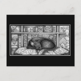 ビクトリアンライブラリCat ポストカード