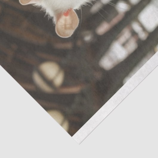 ビクトリアン旅行ネズミの切り離し 薄葉紙 (詳細)