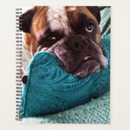 ビクトリアンBulldog Photo 8x11ノートブック プランナー手帳