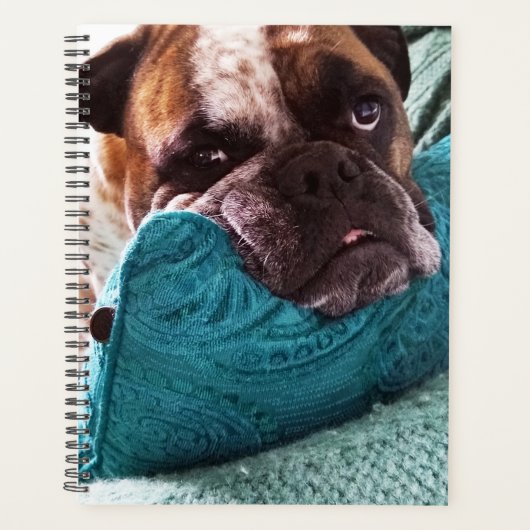 ビクトリアンBulldog Photo 8x11ノートブック プランナー手帳 (正面)
