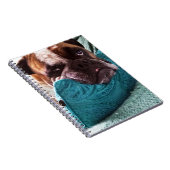 ビクトリアンBulldog Photo 9x6ノートブック ノートブック (右側)