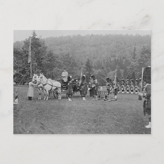 ビクトリア女王がカラーを提示 ポストカード (正面)