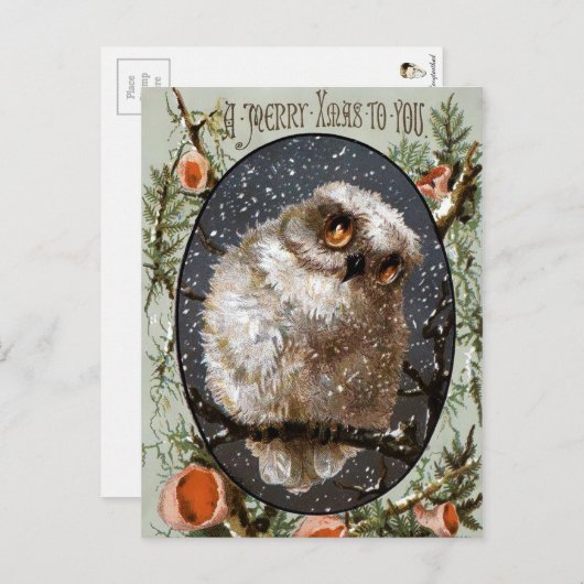 ビクトリア時代のアンティーク ポストカード (正面/裏面)