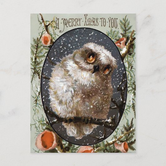 ビクトリア時代のアンティーク ポストカード (正面)