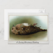 ビクトリア時代の古いクリスマス 死んだ鳥 ポストカード (正面/裏面)