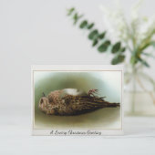 ビクトリア時代の古いクリスマス 死んだ鳥 ポストカード (スタンド正面)