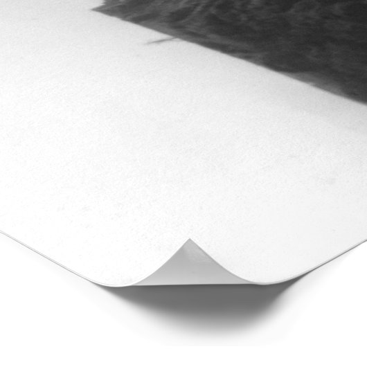 ビクトリア滝インローデシア写真ローデシア ポスター (角)