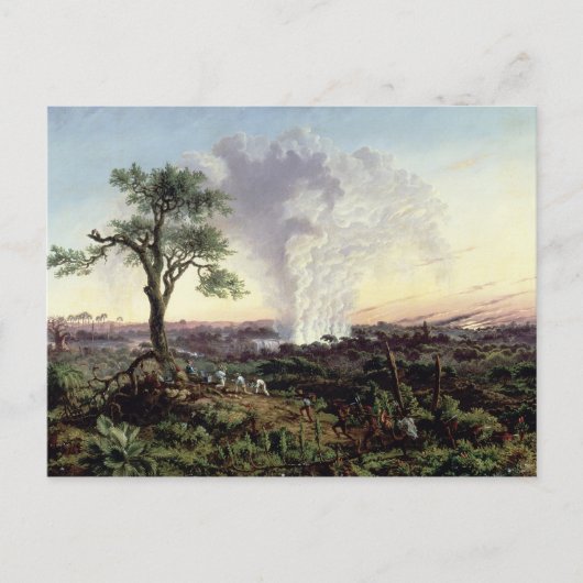 ビクトリア秋ズアットサンライズ、'The Smoke'、または'S ポストカード (正面)