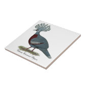 ビクトリア・クラウン・ピジョン タイル (側面)