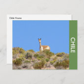 ビクナラマチリポストカード ポストカード (正面/裏面)