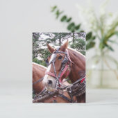 ビクビクして働く ポストカード (スタンド正面)